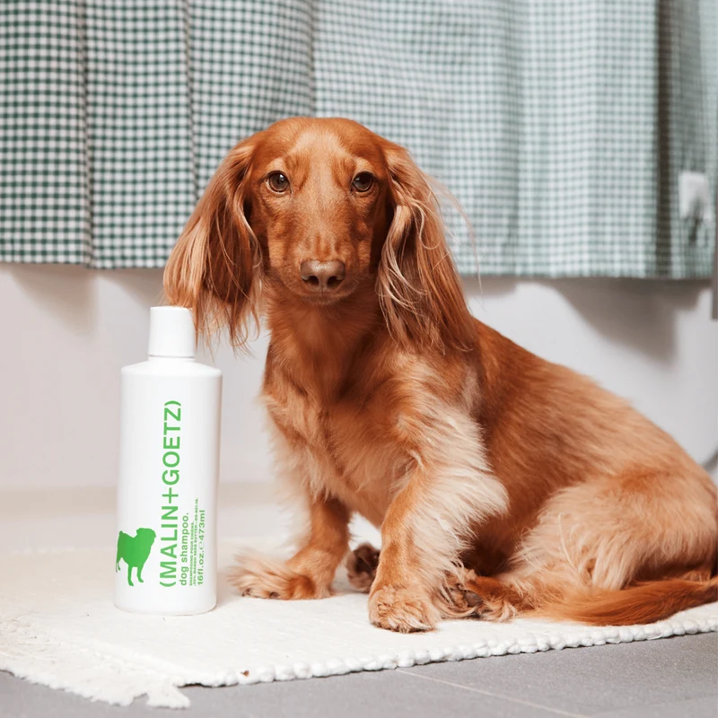 Dog Shampoo, Champú Suave para Perros | MALIN+GOETZ