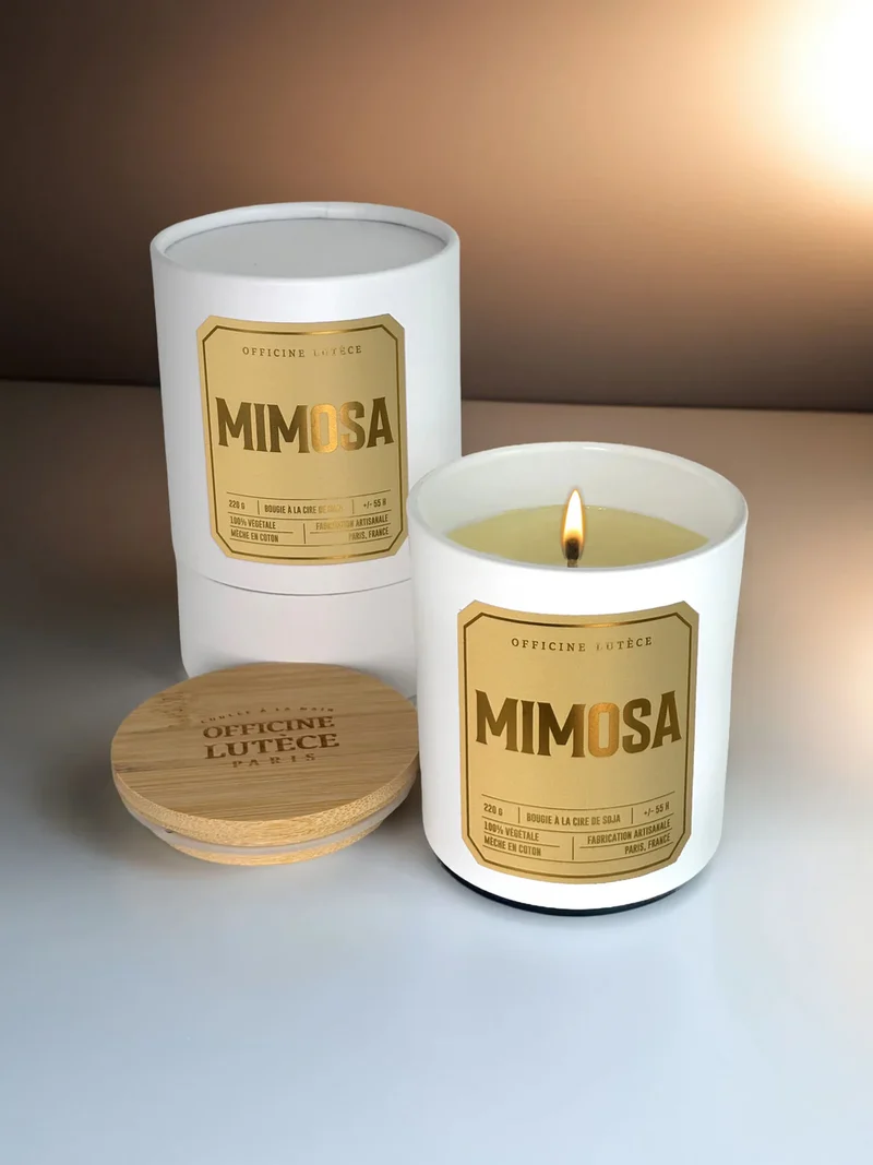 Mimosa