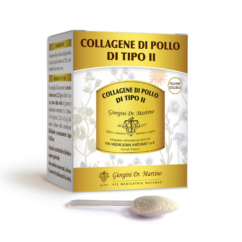 Dr Giorgini Collagene Pollo Tipo II Polvere Solubile 100g — Integratore