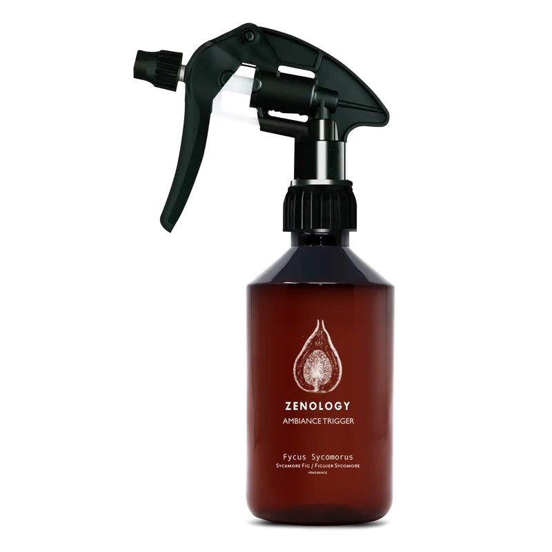 Fycus Sycomorus - Spray Ambiente