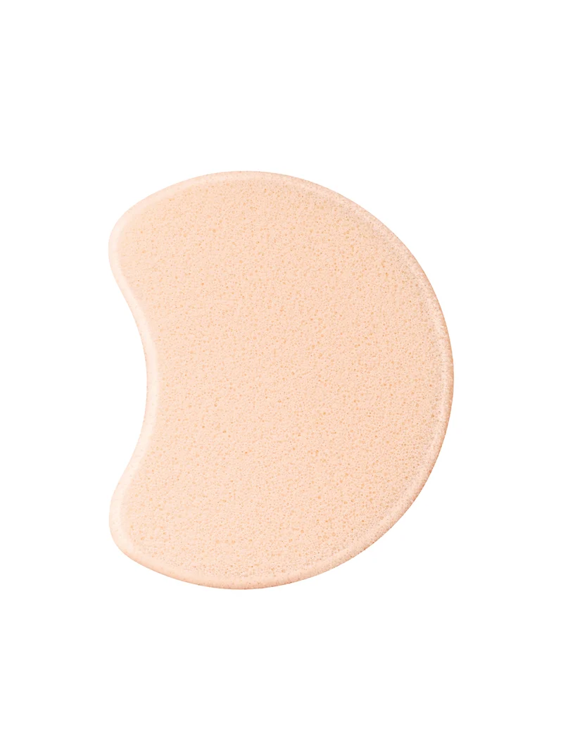 Foundation Sponge