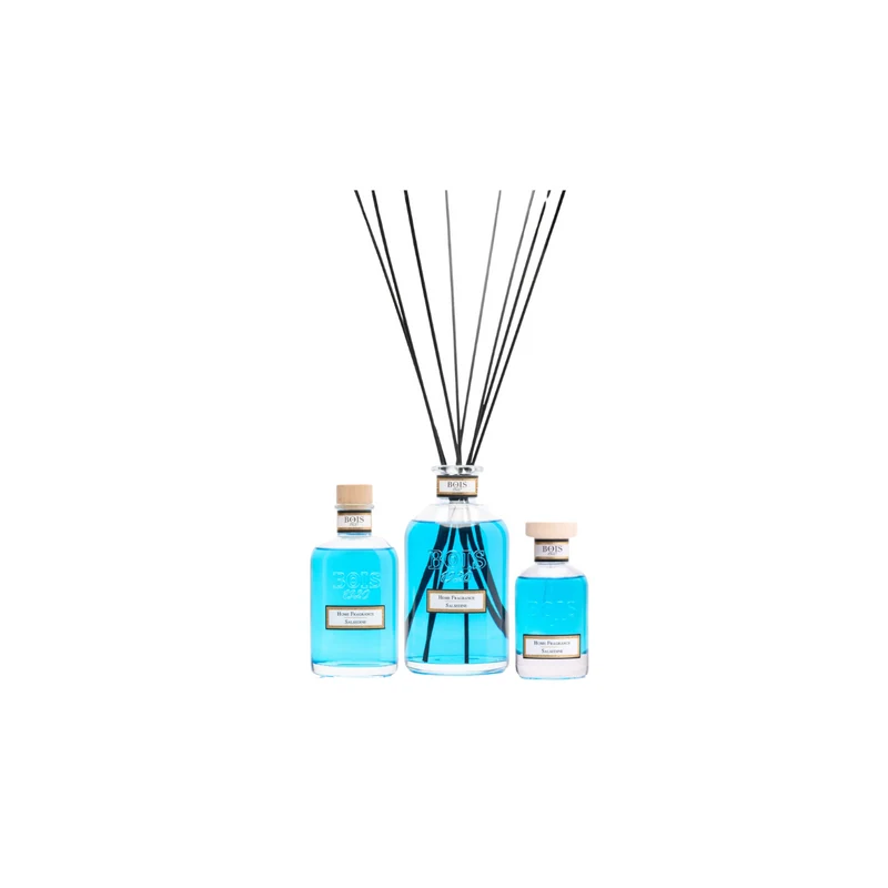 Bois 1920 Home fragrance Salsedine