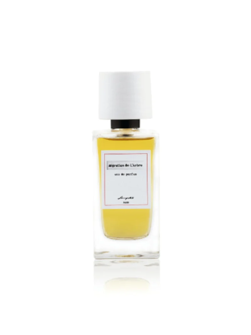 Migration de L'Arbre EDP