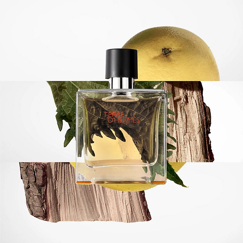 Hermès Terre D'Hermès 100ml — Eau de Parfum