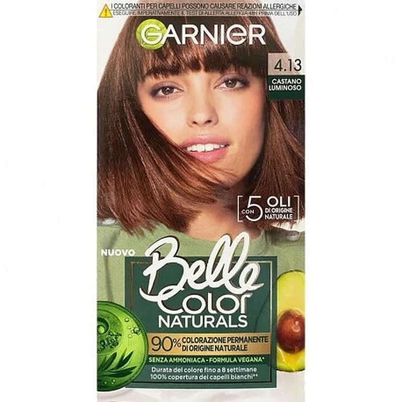 Garnier Crema Colorante Permanente Castano Luminoso 4.13 — Tintura per capelli